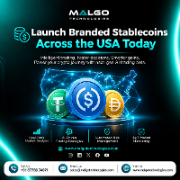 Launch Branded Stablecoins Across the USA Today!
